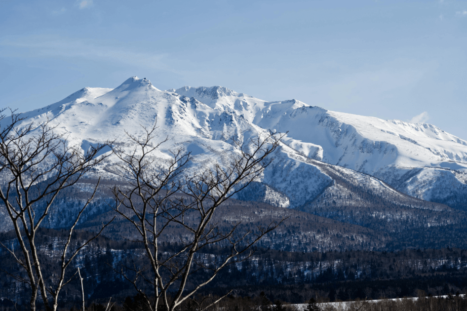 일본 홋카이도: a snowy mountain with trees